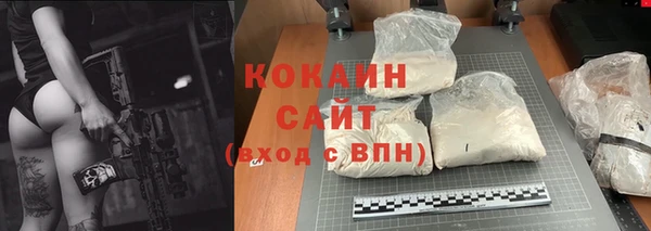 амф Алзамай
